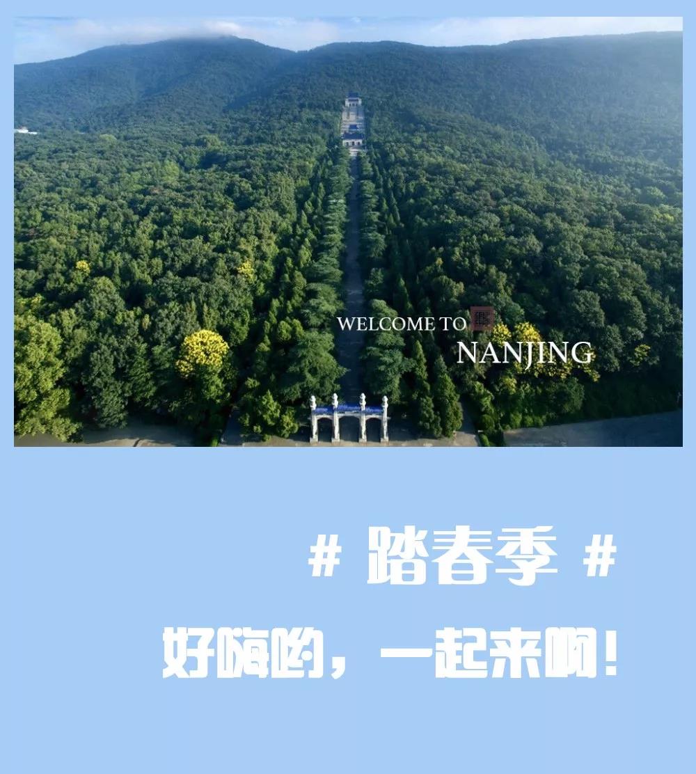 安排上了,南京新華邀你共赴免費(fèi)體驗(yàn)營(yíng) 安排上了,南京新華邀你共赴免費(fèi)體驗(yàn)營(yíng)