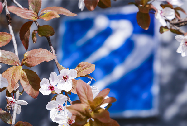 春暖花開，等你歸來——邀你云賞南新春景，以慰思念