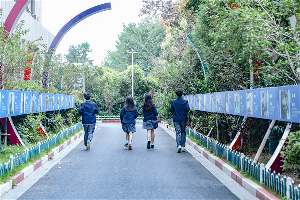 職業教育緣何成為